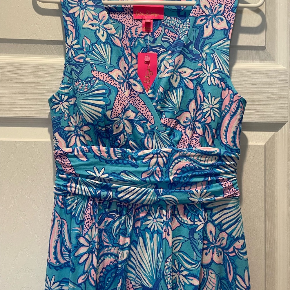 Lilly Pulitzer Blue and Pink Maxi Dress - Picture 3 of 6